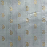 Vera Paisley Kanchipuram Silk Saree