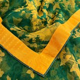 Mishrita Bloom rush Organza saree