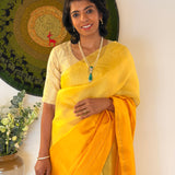 Mishrita Colour Blocked Organza Saree