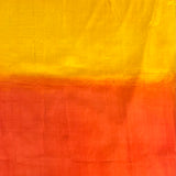 Mila ombre kanchipuram silk saree