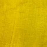 Veena Rainbow Tussar Saree - Citron