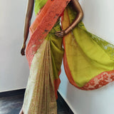 Jhalar - Chartreuse green and peach saree