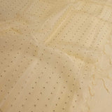 Aarohi-Cream organza saree with sequins