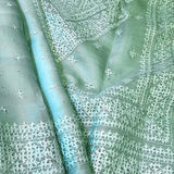 Tuhina Kutch Organza saree