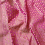 Ranya meenakari kanchipuram silk saree