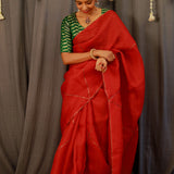 Metallic embroidered organza saree