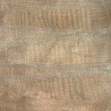 Gold and silver tissue saree