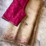 Jhaalar organza Cutwork saree