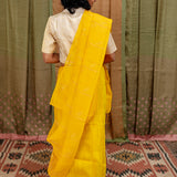 Diya Starry Vines Organza Saree - Yellow