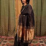 Diya Constellation Organza Saree - 
Onyx