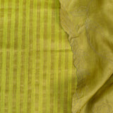 Trailing Ivy Embroidered Organza Saree - Olive