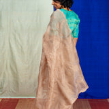 Trailing Ivy Embroidered Organza Saree - Mocha