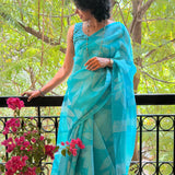 Nisha Foliage Organza Saree - Blue