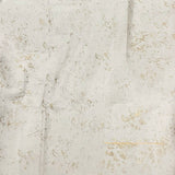 Mila Cream Gold Kanchi Silk Saree