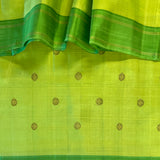 Vera twin border kanchipuram silk saree