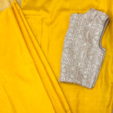 Mishrita Colour Blocked Organza Saree