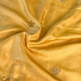 Tussar hand embroidered saree