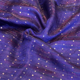 Silk Sequinned Saree