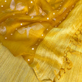 Sequinned floral matka organza saree