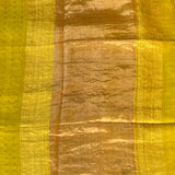 Silk sequinned saree