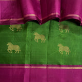 Mohana kamadhenu saree