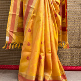 Mila Foliage Thread Woven Border Silk Saree