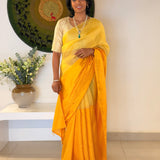 Mishrita Colour Blocked Organza Saree