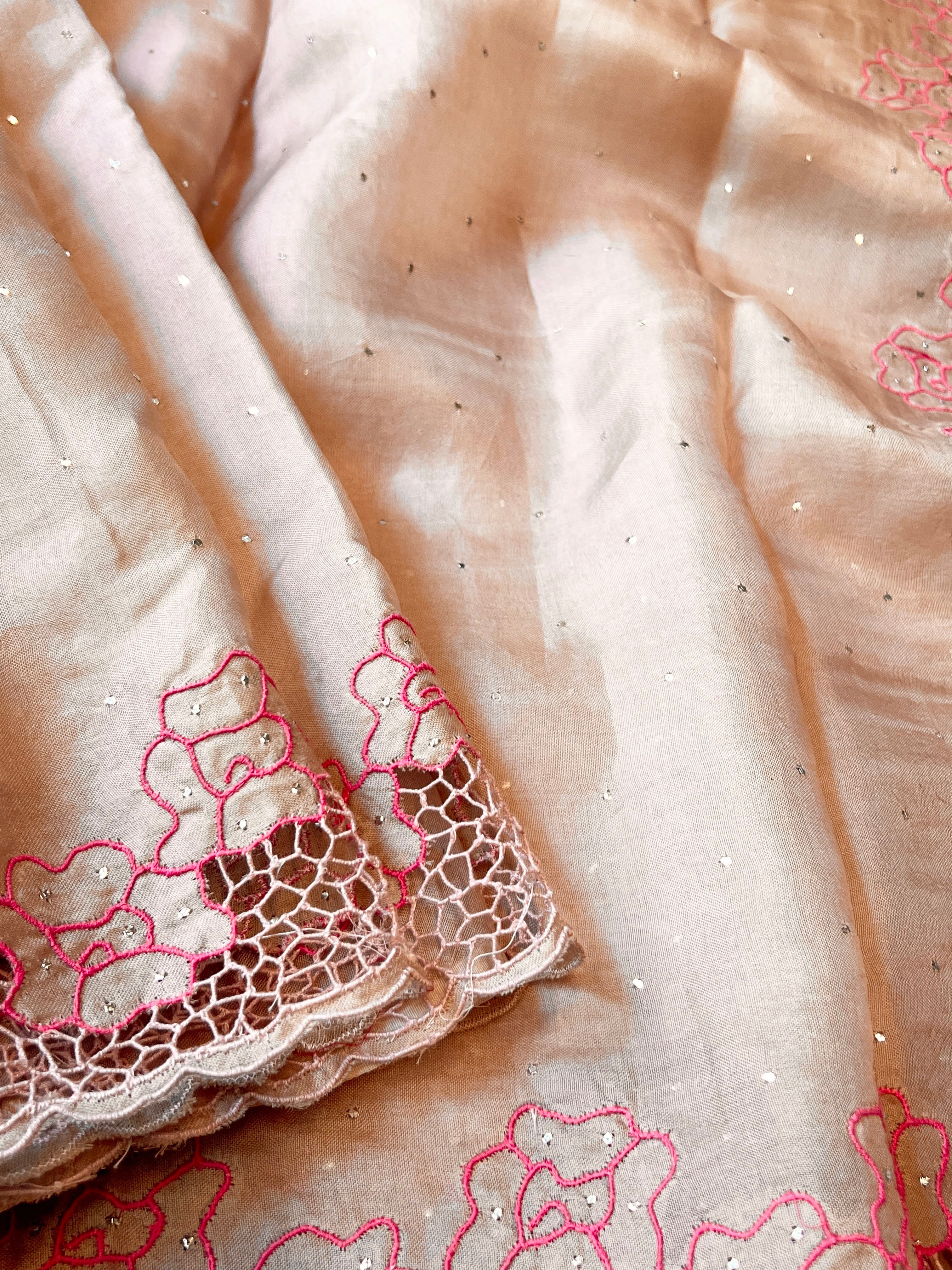 Jhaalar organza Cutwork saree