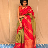 Mishrita Creeper Border Organza Saree - Olive and Red
