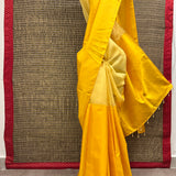 Mishrita Colour Blocked Organza Saree