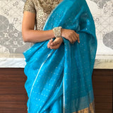 Silk sequinned saree