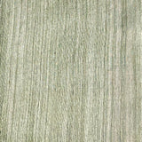 Sequinned matka organza saree