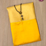 Mishrita Colour Blocked Organza Saree