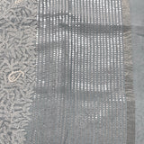 Organza chikankari saree
