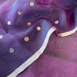 Zari striped handwoven organza saree