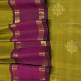 Mohana Kolam Kanchi Silk Saree - Olive and Voilet