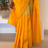 Mishrita Colour Blocked Organza Saree