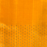 Meera meenakari kanchipuram silk saree