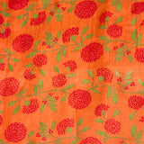 Mishrita Colour Blocked Chiffon Saree