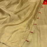 Mishrita Colour Blocked Chiffon Saree