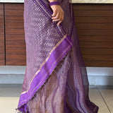 Metallic zari striped organza saree