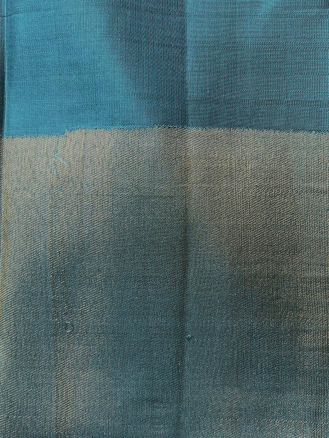 Charita Arctic blue gold silver checked kanchipuram silk saree 5