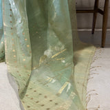 Metallic handwoven organza saree