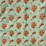 Mila Sage Garden Kanchipuram Silk Saree