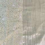 Organza chikankari saree