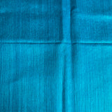 Sequinned matka organza saree