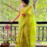 Nisha Foliage Organza Saree - Citron