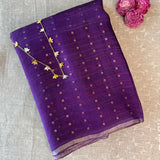 Silk sequinned saree