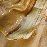 Metallic zari striped organza saree