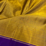 Alani contrast kanchi silk saree